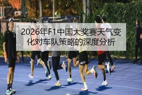 2026年F1中国大奖赛天气变化对车队策略的深度分析